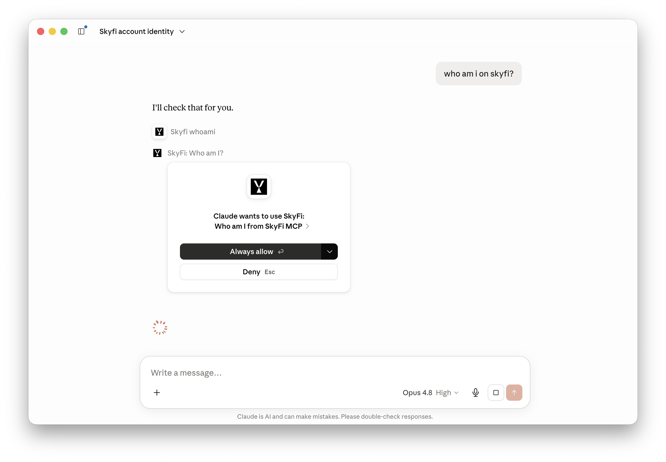 Permission prompt asking to allow the skyfi_whoami tool