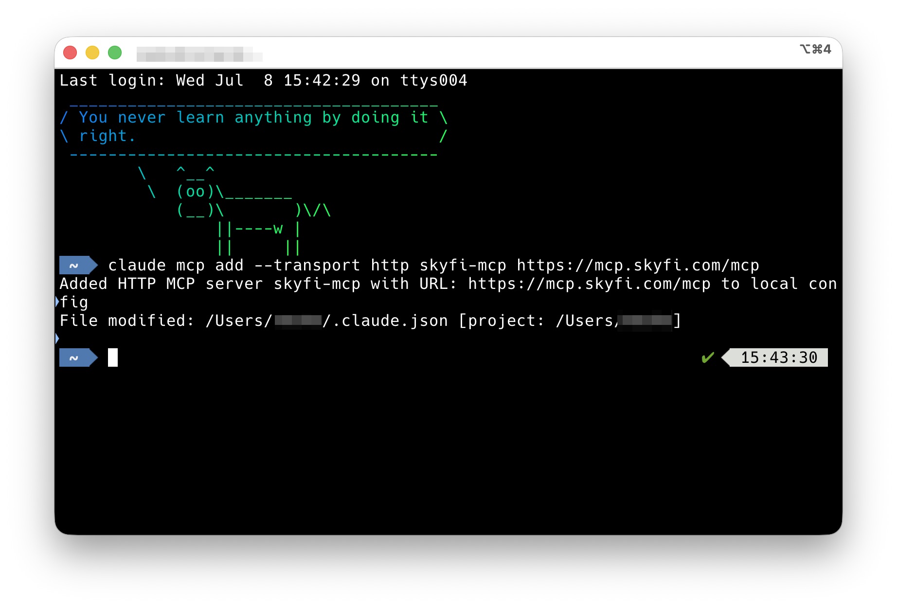 Terminal: claude mcp add output