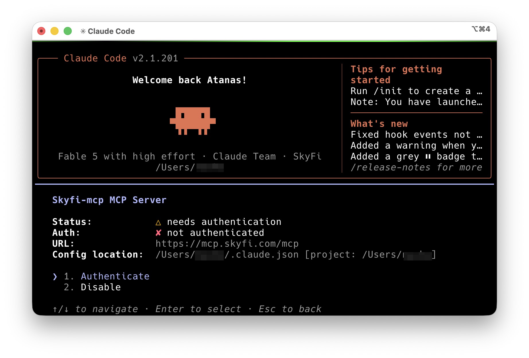 /mcp menu showing the skyfi server authenticated #2