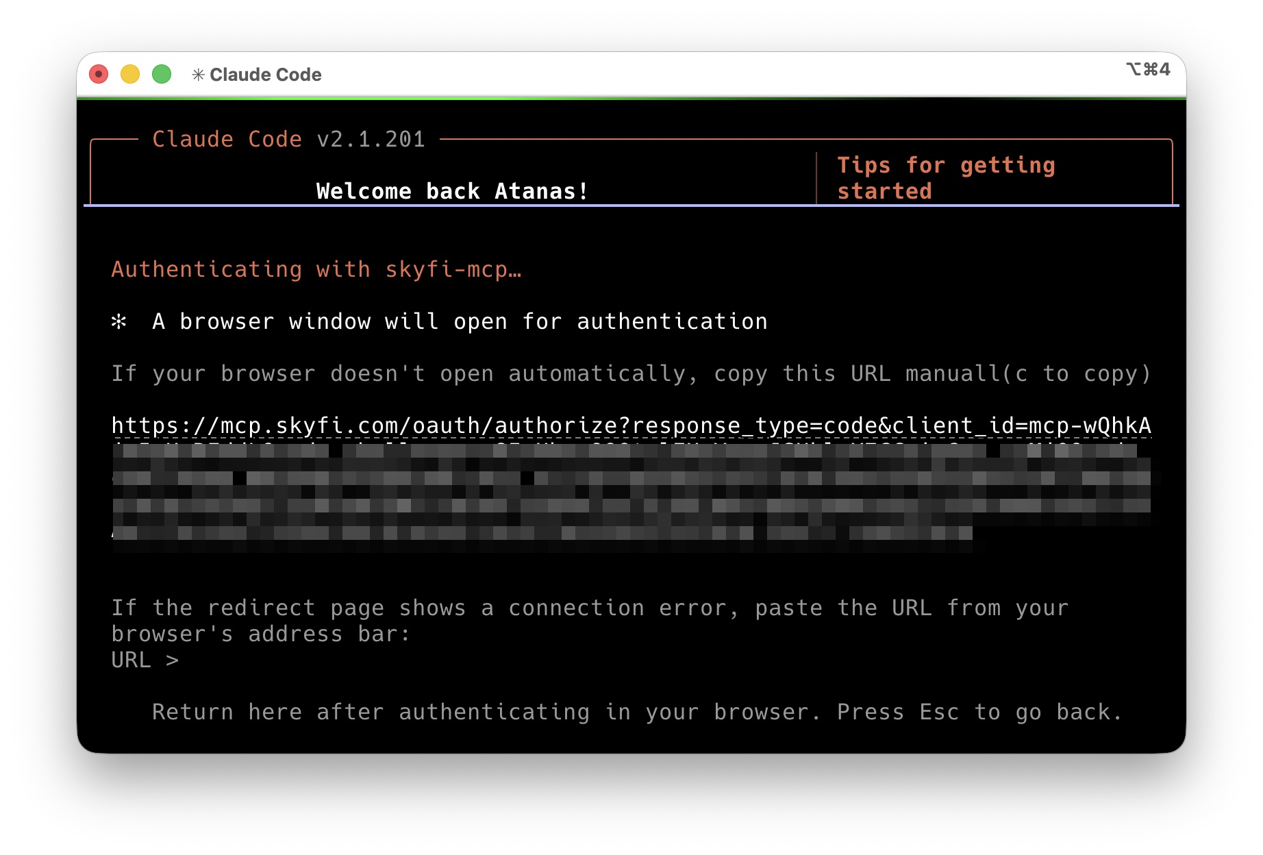 /mcp menu showing the skyfi server authenticated #3