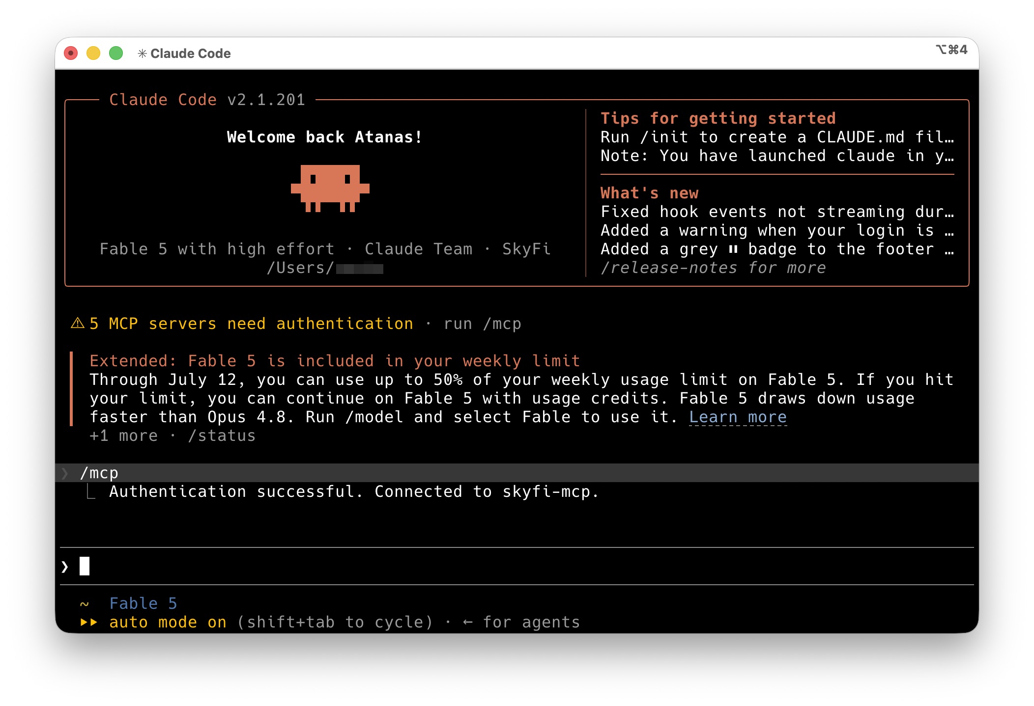 /mcp menu showing the skyfi server authenticated #4